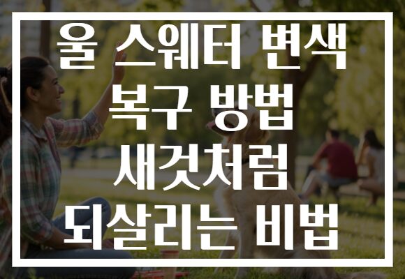 울 스웨터 변색 복구 방법 새것처럼 되살리는 비법