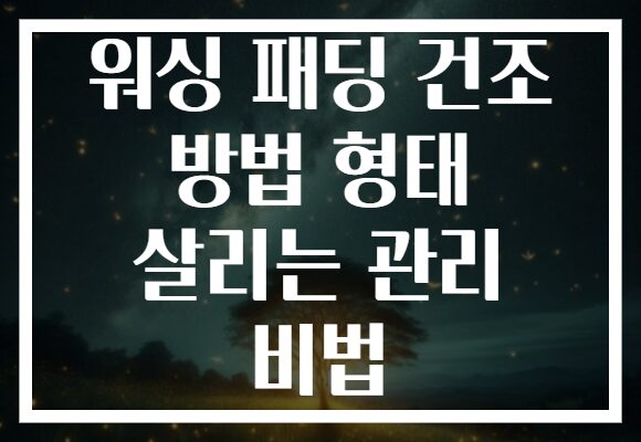 워싱 패딩 건조 방법 형태 살리는 관리 비법