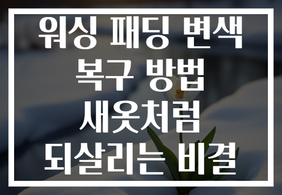 워싱 패딩 변색 복구 방법 새옷처럼 되살리는 비결