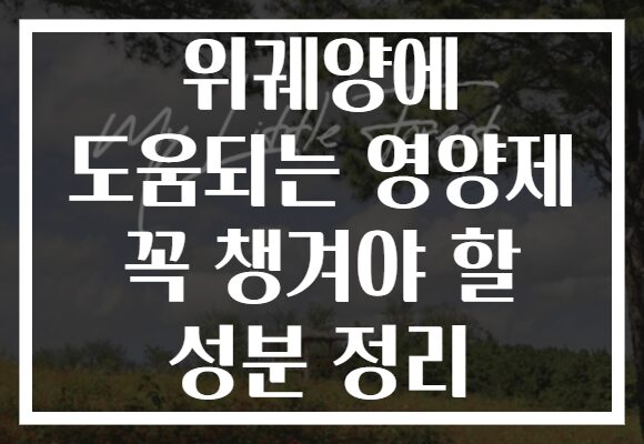 위궤양에 도움되는 영양제 꼭 챙겨야 할 성분 정리