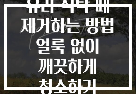 유리 식탁 때 제거하는 방법 얼룩 없이 깨끗하게 청소하기