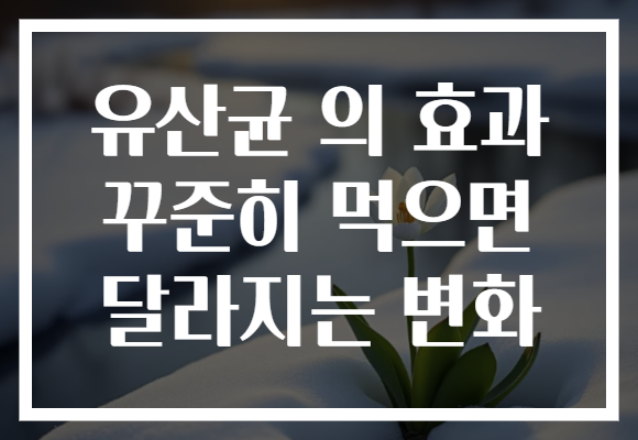 유산균 의 효과 꾸준히 먹으면 달라지는 변화