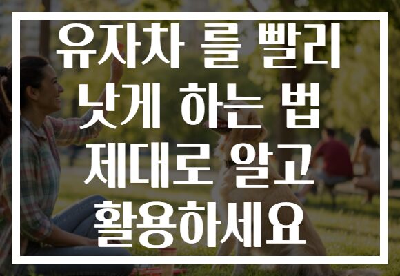 유자차 를 빨리 낫게 하는 법 제대로 알고 활용하세요