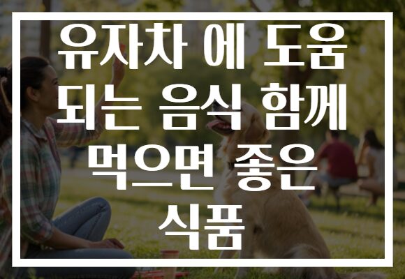 유자차 에 도움 되는 음식 함께 먹으면 좋은 식품