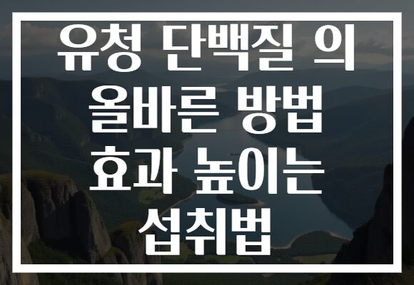 유청 단백질 의 올바른 방법 효과 높이는 섭취법