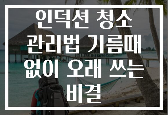 인덕션 청소 관리법 기름때 없이 오래 쓰는 비결