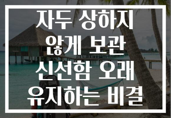 자두 상하지 않게 보관 신선함 오래 유지하는 비결