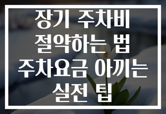 장기 주차비 절약하는 법 주차요금 아끼는 실전 팁