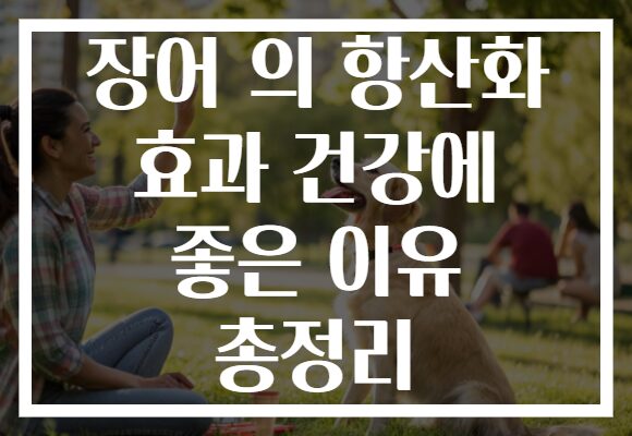 장어 의 항산화 효과 건강에 좋은 이유 총정리