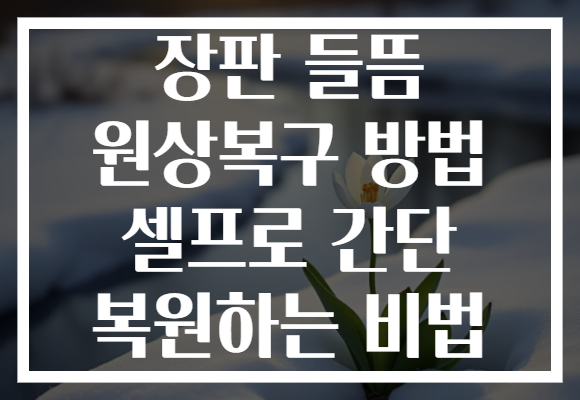 장판 들뜸 원상복구 방법 셀프로 간단 복원하는 비법