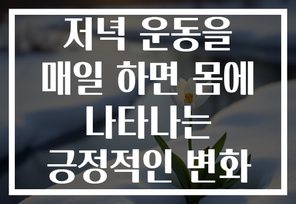 저녁 운동을 매일 하면 몸에 나타나는 긍정적인 변화