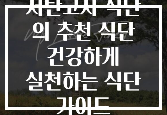 저탄고지 식단 의 추천 식단 건강하게 실천하는 식단 가이드