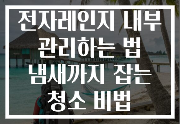 전자레인지 내부 관리하는 법 냄새까지 잡는 청소 비법