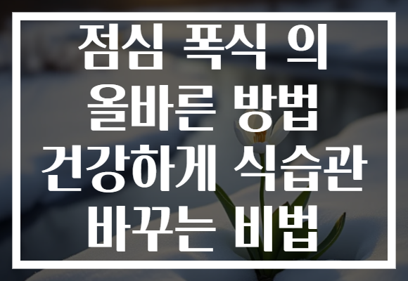 점심 폭식 의 올바른 방법 건강하게 식습관 바꾸는 비법