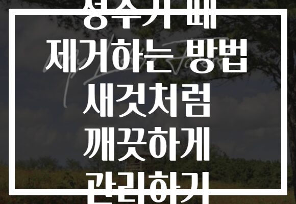 정수기 때 제거하는 방법 새것처럼 깨끗하게 관리하기