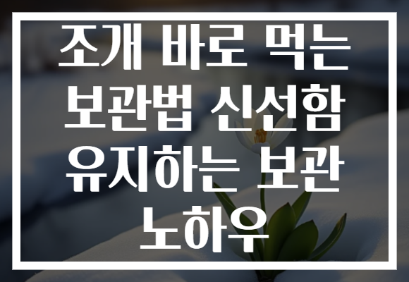 조개 바로 먹는 보관법 신선함 유지하는 보관 노하우