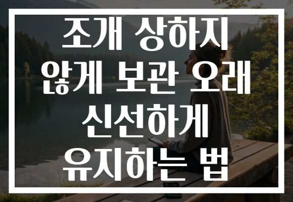 조개 상하지 않게 보관 오래 신선하게 유지하는 법