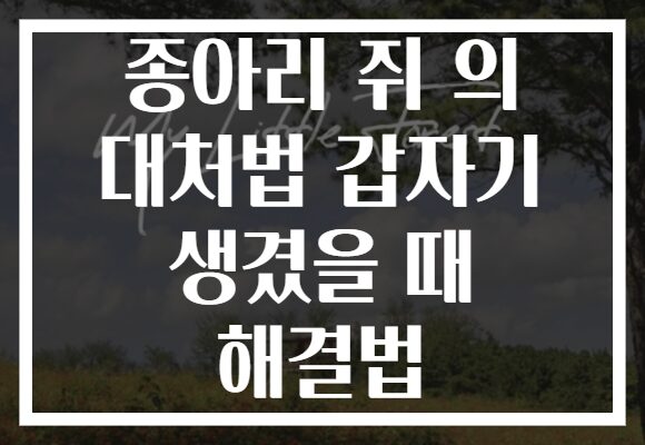 종아리 쥐 의 대처법 갑자기 생겼을 때 해결법