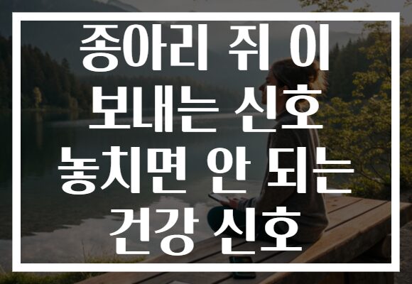 종아리 쥐 이 보내는 신호 놓치면 안 되는 건강 신호