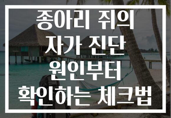 종아리 쥐의 자가 진단 원인부터 확인하는 체크법