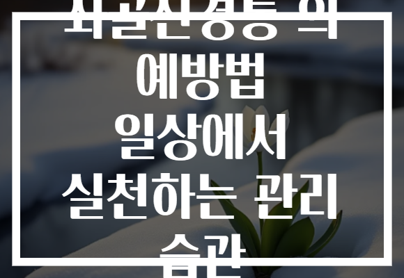 좌골신경통 의 예방법 일상에서 실천하는 관리 습관