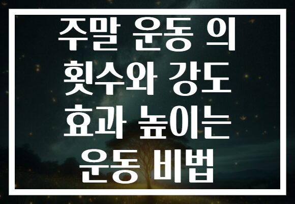 주말 운동 의 횟수와 강도 효과 높이는 운동 비법