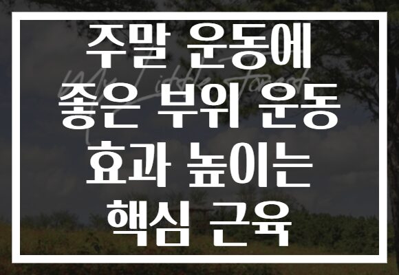 주말 운동에 좋은 부위 운동 효과 높이는 핵심 근육