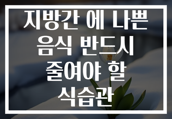 지방간 에 나쁜 음식 반드시 줄여야 할 식습관