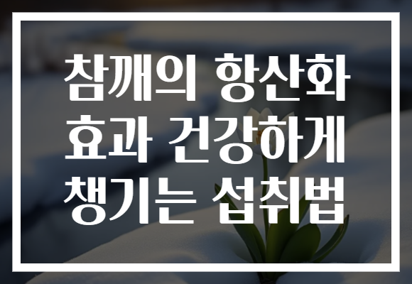 참깨의 항산화 효과 건강하게 챙기는 섭취법
