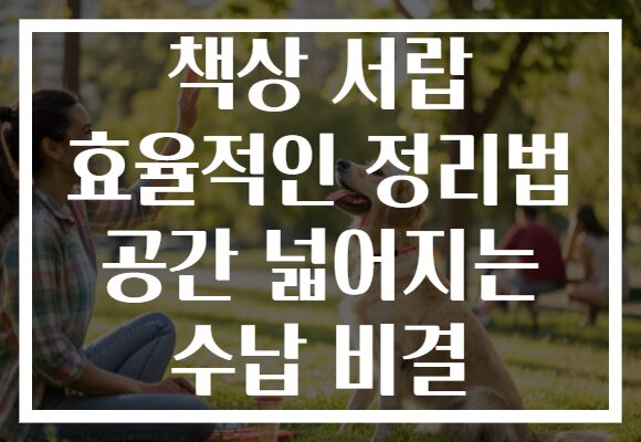 책상 서랍 효율적인 정리법 공간 넓어지는 수납 비결