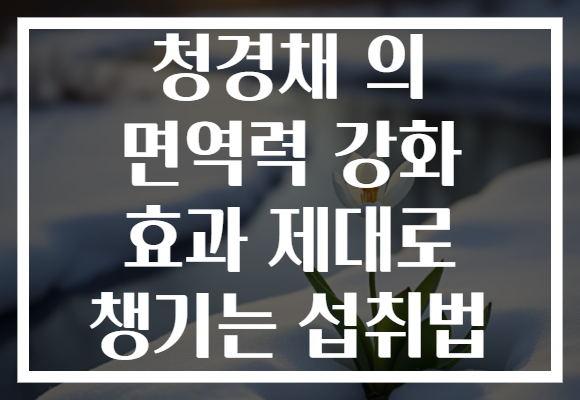 청경채 의 면역력 강화 효과 제대로 챙기는 섭취법