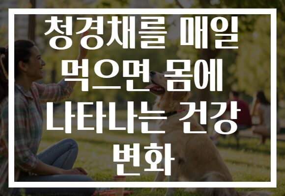 청경채를 매일 먹으면 몸에 나타나는 건강 변화