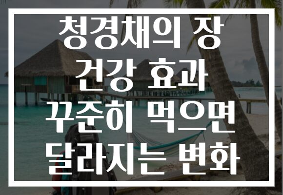 청경채의 장 건강 효과 꾸준히 먹으면 달라지는 변화