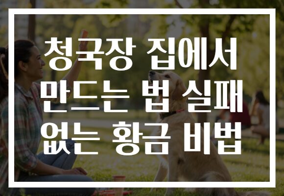청국장 집에서 만드는 법 실패 없는 황금 비법