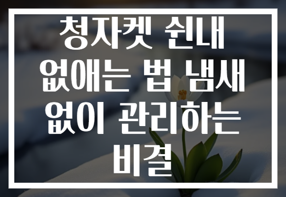 청자켓 쉰내 없애는 법 냄새 없이 관리하는 비결