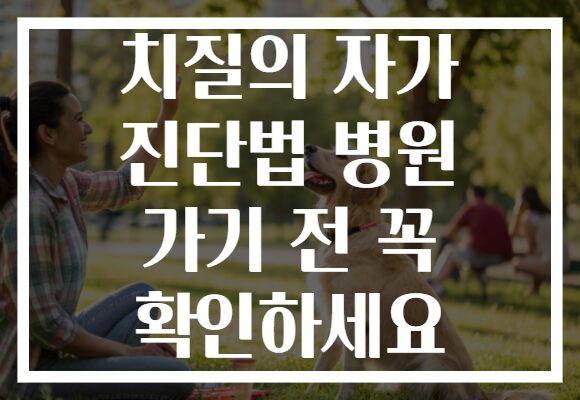 치질의 자가 진단법 병원 가기 전 꼭 확인하세요