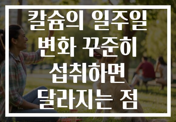 칼슘의 일주일 변화 꾸준히 섭취하면 달라지는 점