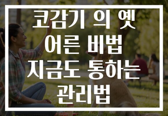 코감기 의 옛 어른 비법 지금도 통하는 관리법