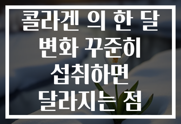 콜라겐 의 한 달 변화 꾸준히 섭취하면 달라지는 점