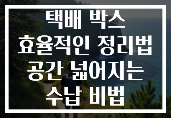 택배 박스 효율적인 정리법 공간 넓어지는 수납 비법