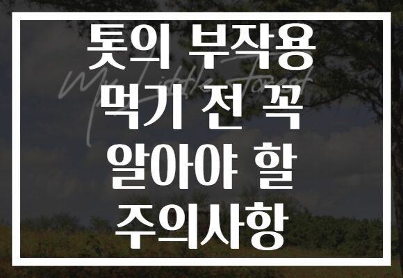 톳의 부작용 먹기 전 꼭 알아야 할 주의사항