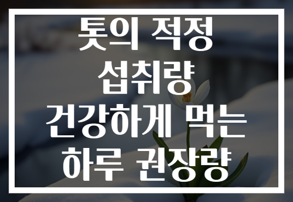 톳의 적정 섭취량 건강하게 먹는 하루 권장량