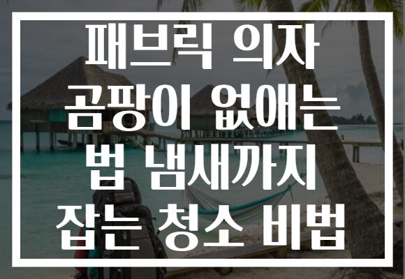 패브릭 의자 곰팡이 없애는 법 냄새까지 잡는 청소 비법