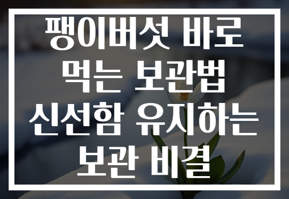 팽이버섯 바로 먹는 보관법 신선함 유지하는 보관 비결