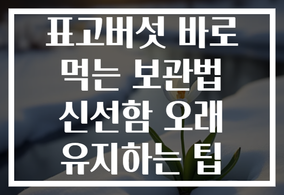 표고버섯 바로 먹는 보관법 신선함 오래 유지하는 팁