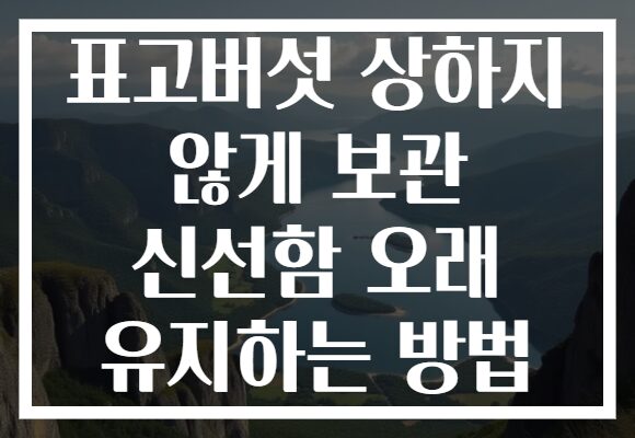 표고버섯 상하지 않게 보관 신선함 오래 유지하는 방법