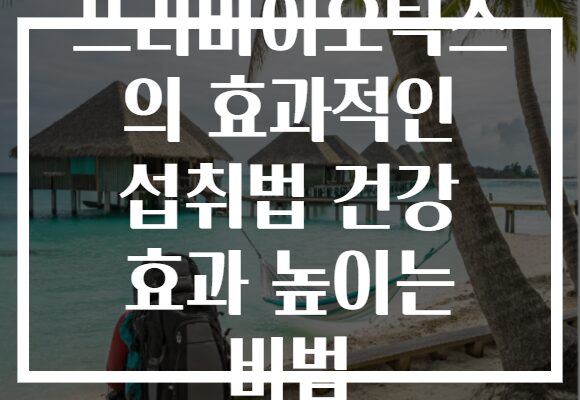 프리바이오틱스 의 효과적인 섭취법 건강 효과 높이는 비법