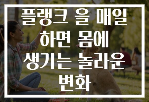 플랭크 을 매일 하면 몸에 생기는 놀라운 변화