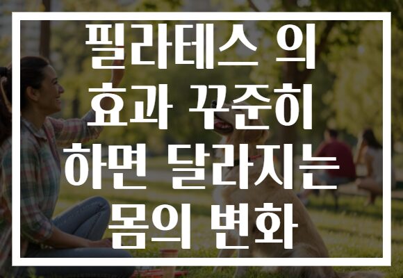 필라테스 의 효과 꾸준히 하면 달라지는 몸의 변화