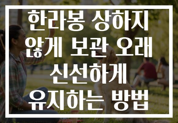 한라봉 상하지 않게 보관 오래 신선하게 유지하는 방법